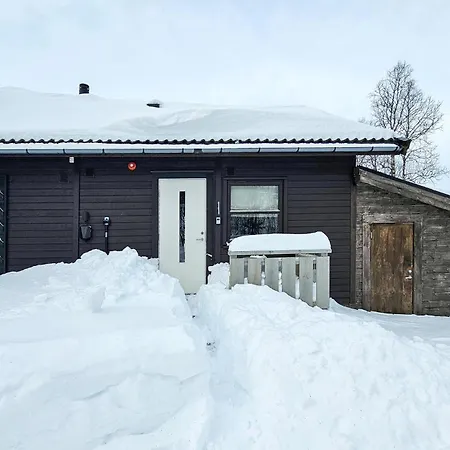 3 Bedroom Awesome In Appartement Rjukan