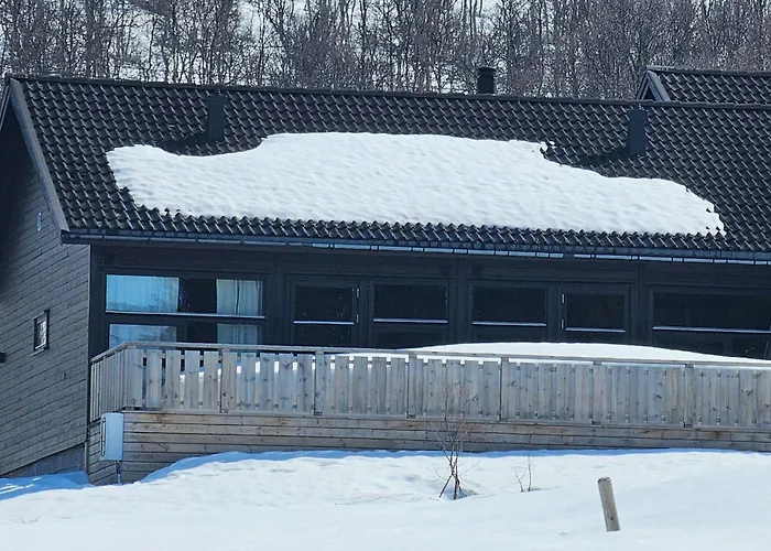 3 Bedroom Awesome In *